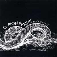 Black Mambas